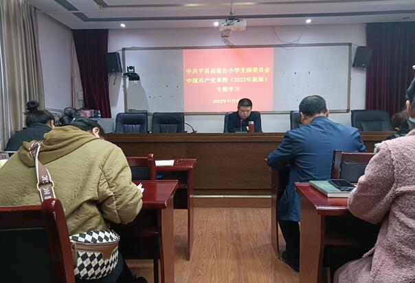 平昌县张公小学学习新党章奋进新征程