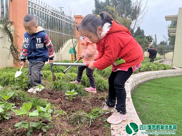 磨溪幼儿园大班组开展“我是除草小高手”活动
