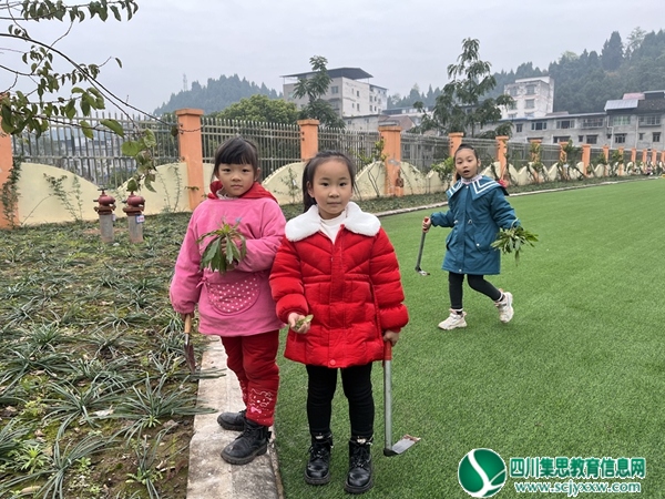 图片5.jpg