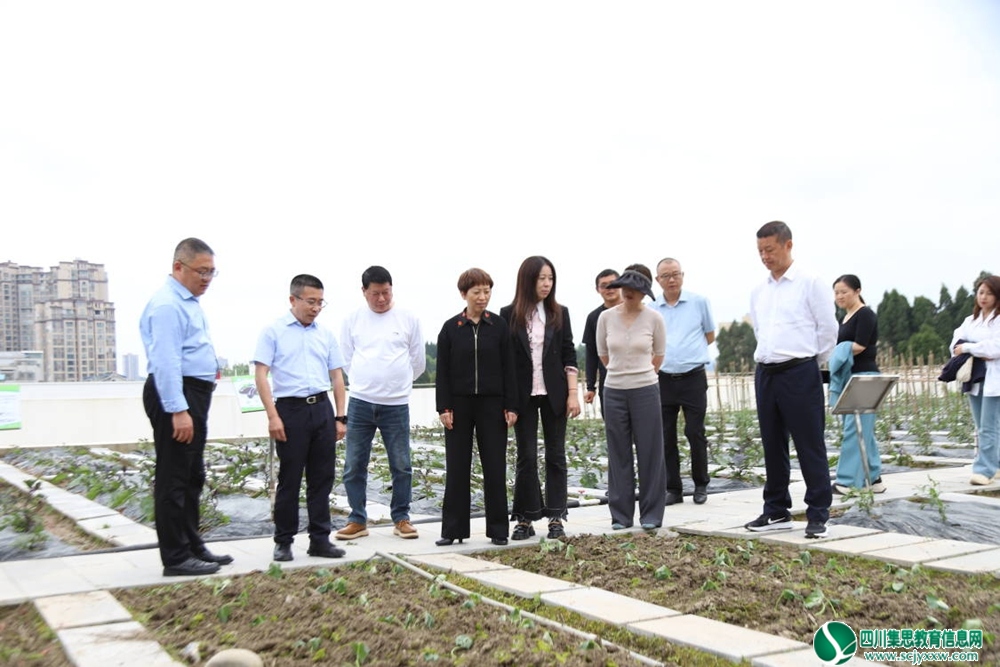 船山区政协副主席林云一行来到安居四小对学校劳动教育实践基地建设进行调研